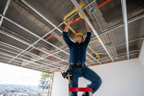 Best Plumbing Repair Near Me  in Harlem, FL