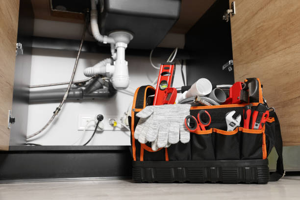 Best Plumbing Inspection Services  in Harlem, FL