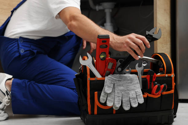 Best Affordable Plumbing Services  in Harlem, FL