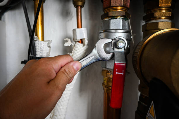 Best Clogged Drain Plumber  in Harlem, FL
